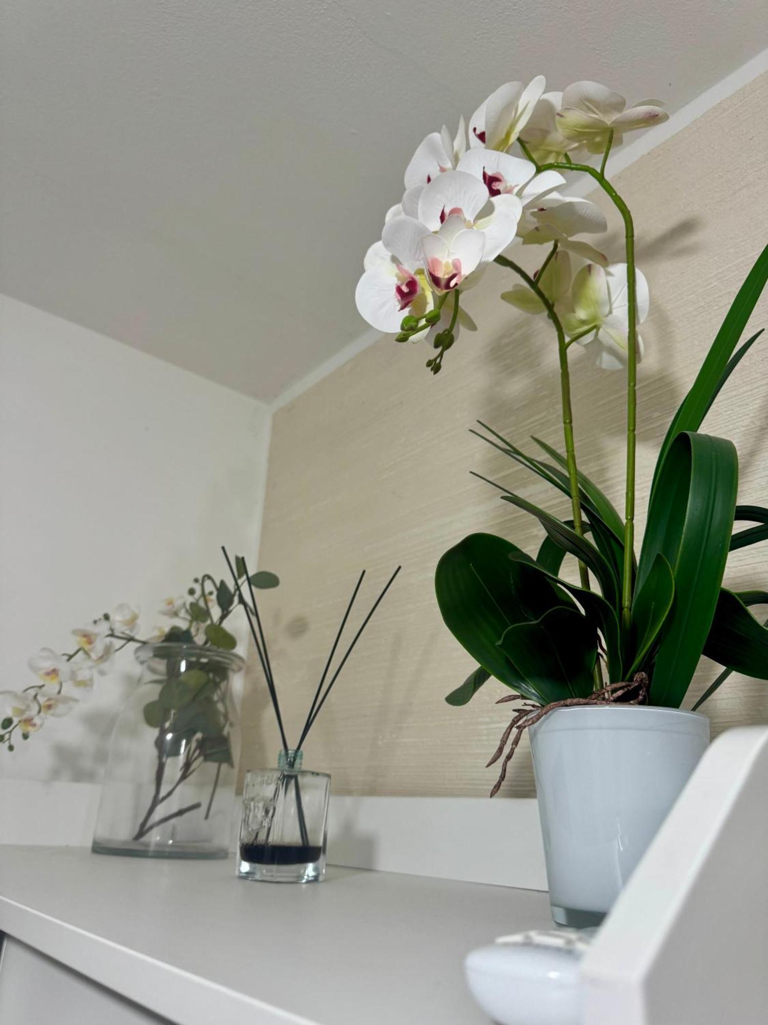 Casa Alessio - Elegante Appartamento Nel Cuore Di Cesano Maderno Bagian luar foto